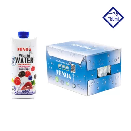 ΜΙΝΟΑ-Βιταμινούχο-Νερό-σε-Χάρτινη-Φυσική-Συσκευασία-750ml-Strawberry-Raspberry-Blueberry-12-τεμάχια-1